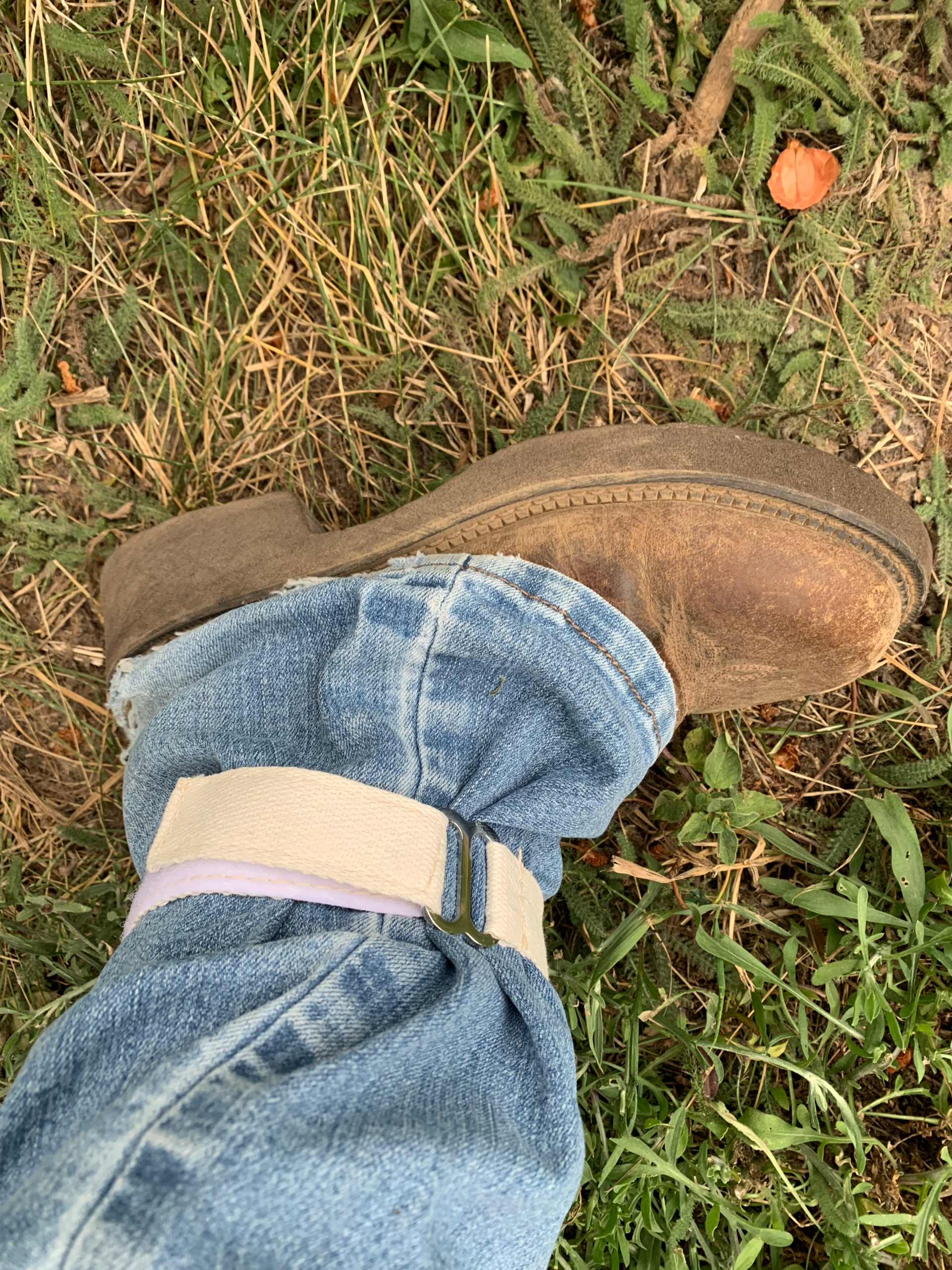 Why You Should Wear Beekeeping Protective Clothing